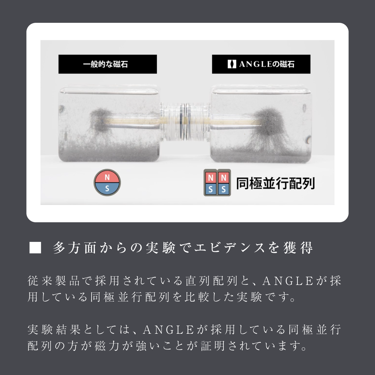 【磁気ネックレス】ANGLE e.MODEL 01 NECKLACE TIGERS Ver. Type-A