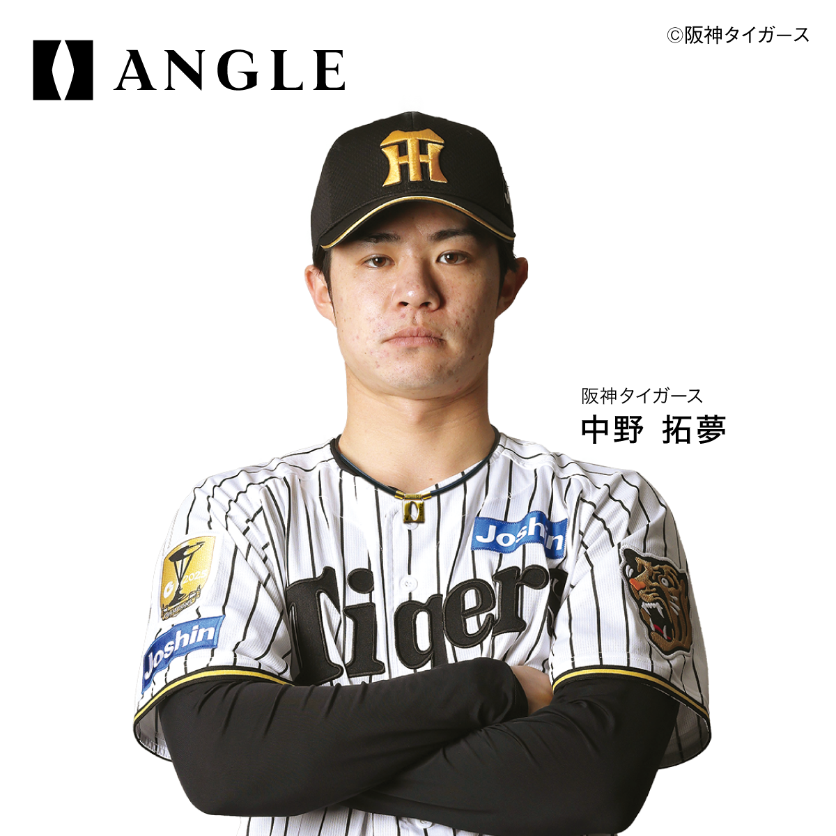 【磁気ネックレス】ANGLE e.MODEL 01 NECKLACE TIGERS Ver. Type-A